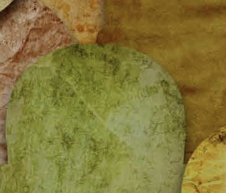 International Conference: Religious Attitudes to Religious Minorities